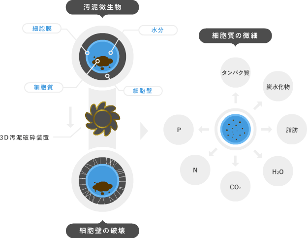 技術概要(UMEDA PROCESSOR)