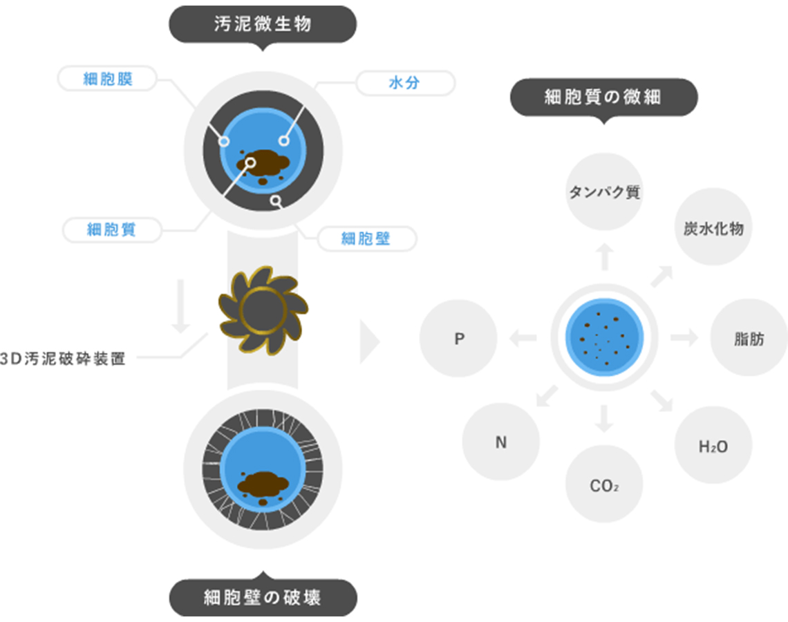 技術概要（UMEDA PROCESSOR）